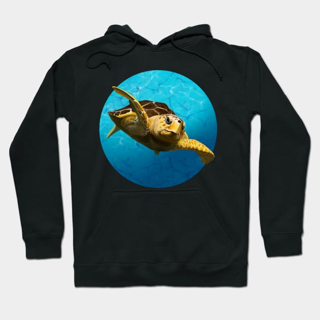 Loggerhead Turtle Hoodie by cre8tive-liv